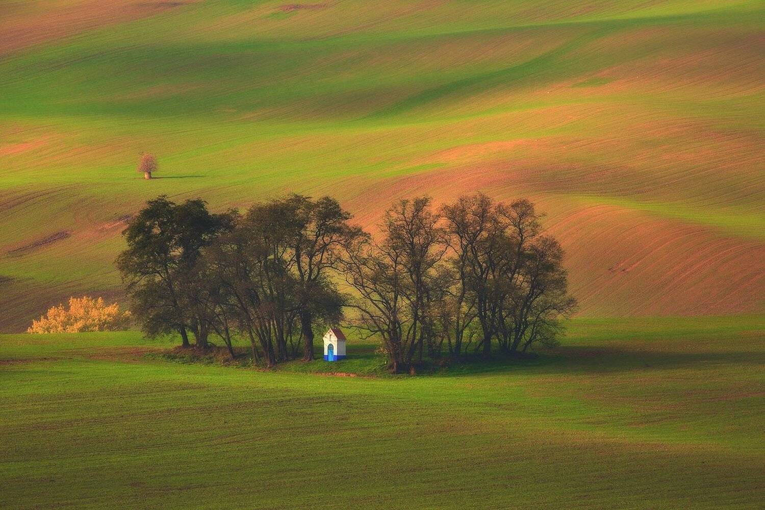 landscape,canon,light,spring,moravia, Iza i Darek Mitręga