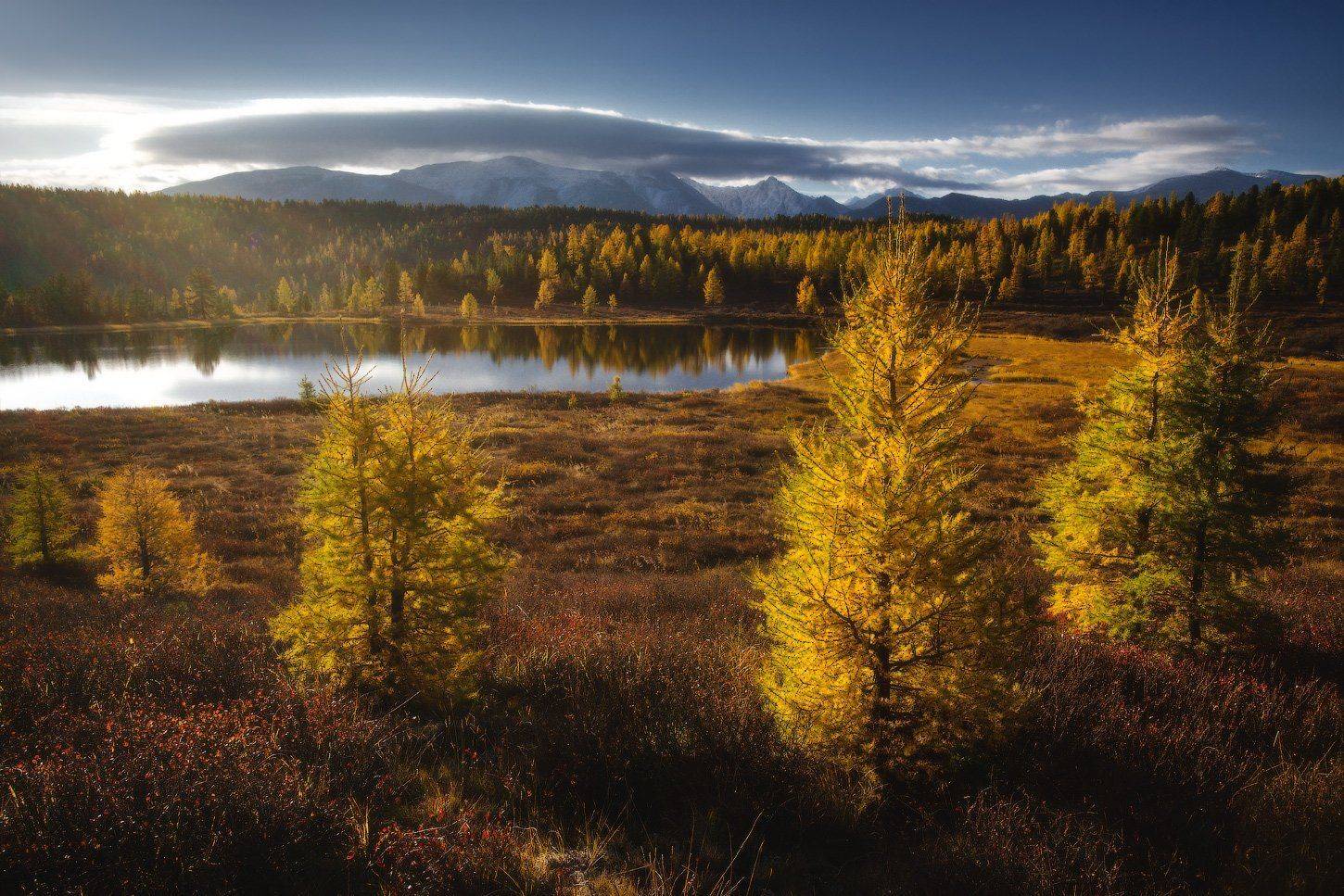 алтай, горы, осень, киделю, Владимир Ляпин
