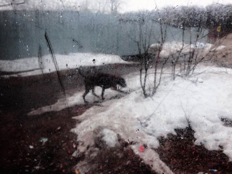 street *** фото превью