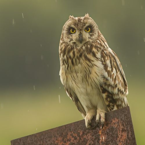 Мать и дитя