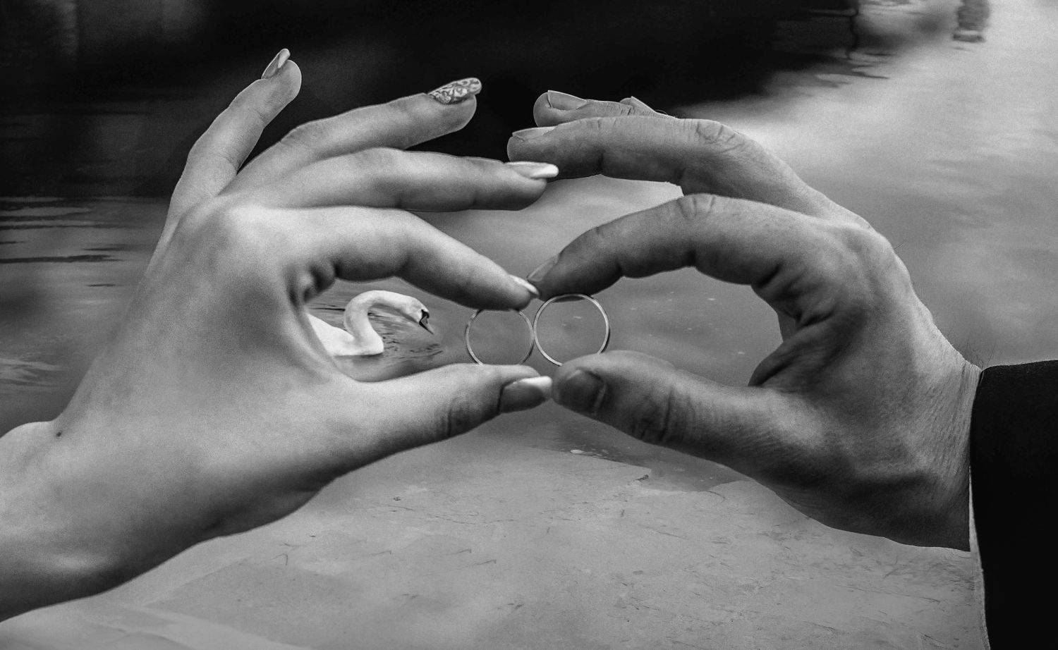 свадьба,кольца,лебедь, Мария Буданова