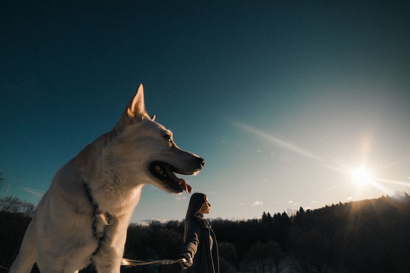 собака, человек фотосьемка, весна, портрет Любишь собаку любить,  люби и гулять с ней ходить. :)photo preview