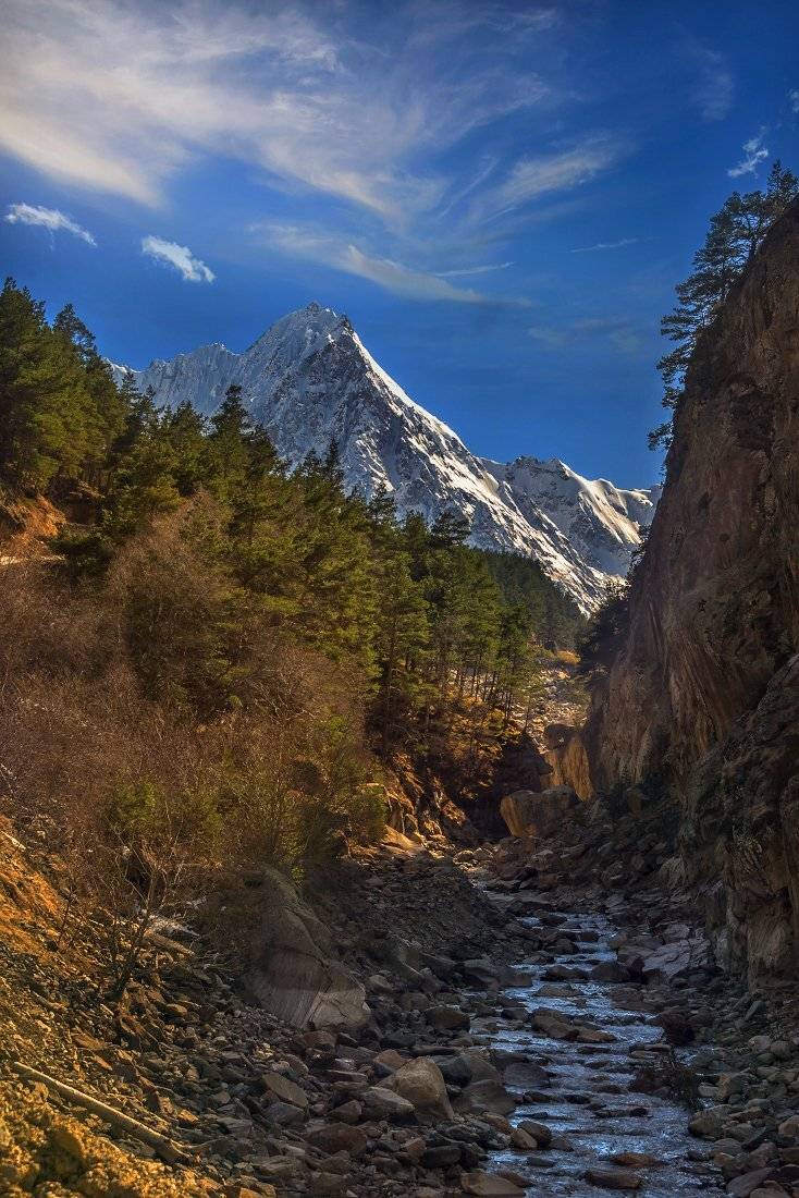 , Елена Брежицкая