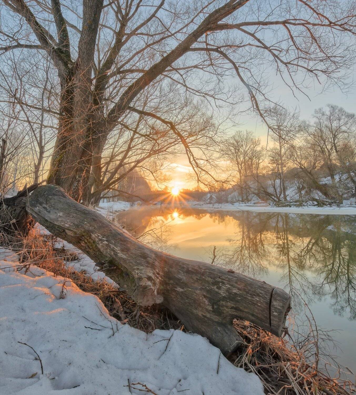 , Николай Андреев