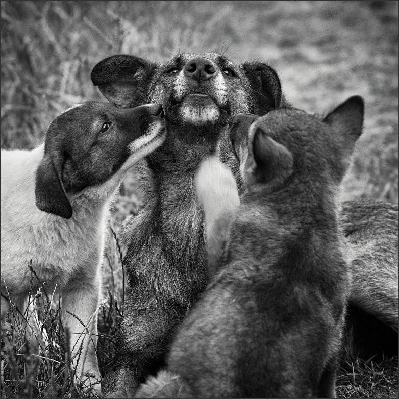 , Сергей Фудиненко