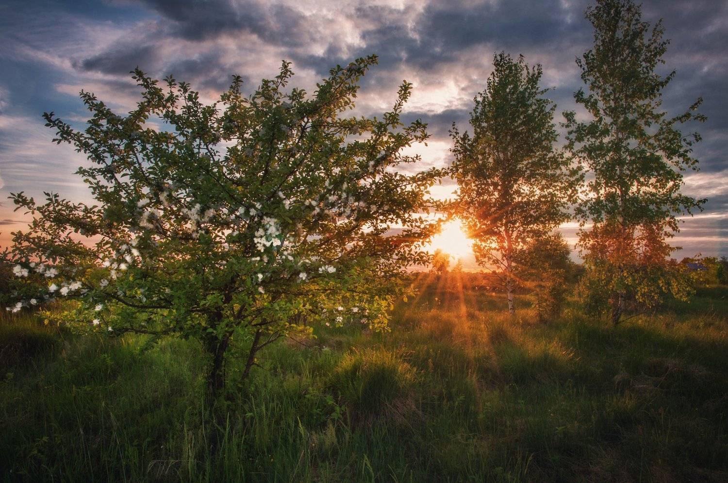 , Алексей Сергованцев