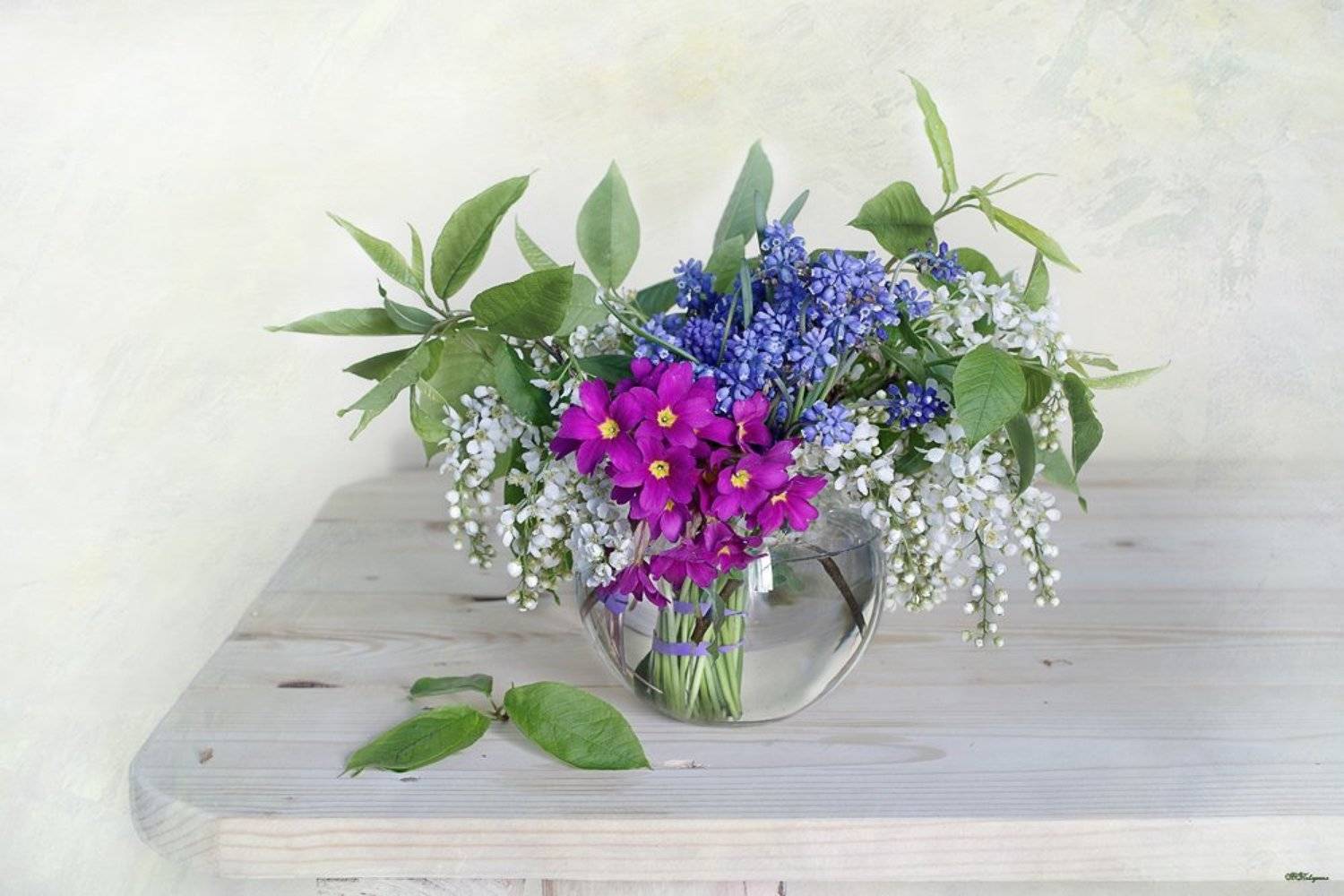 весна,весенний букет,натюрморт,, Вера  Павлухина