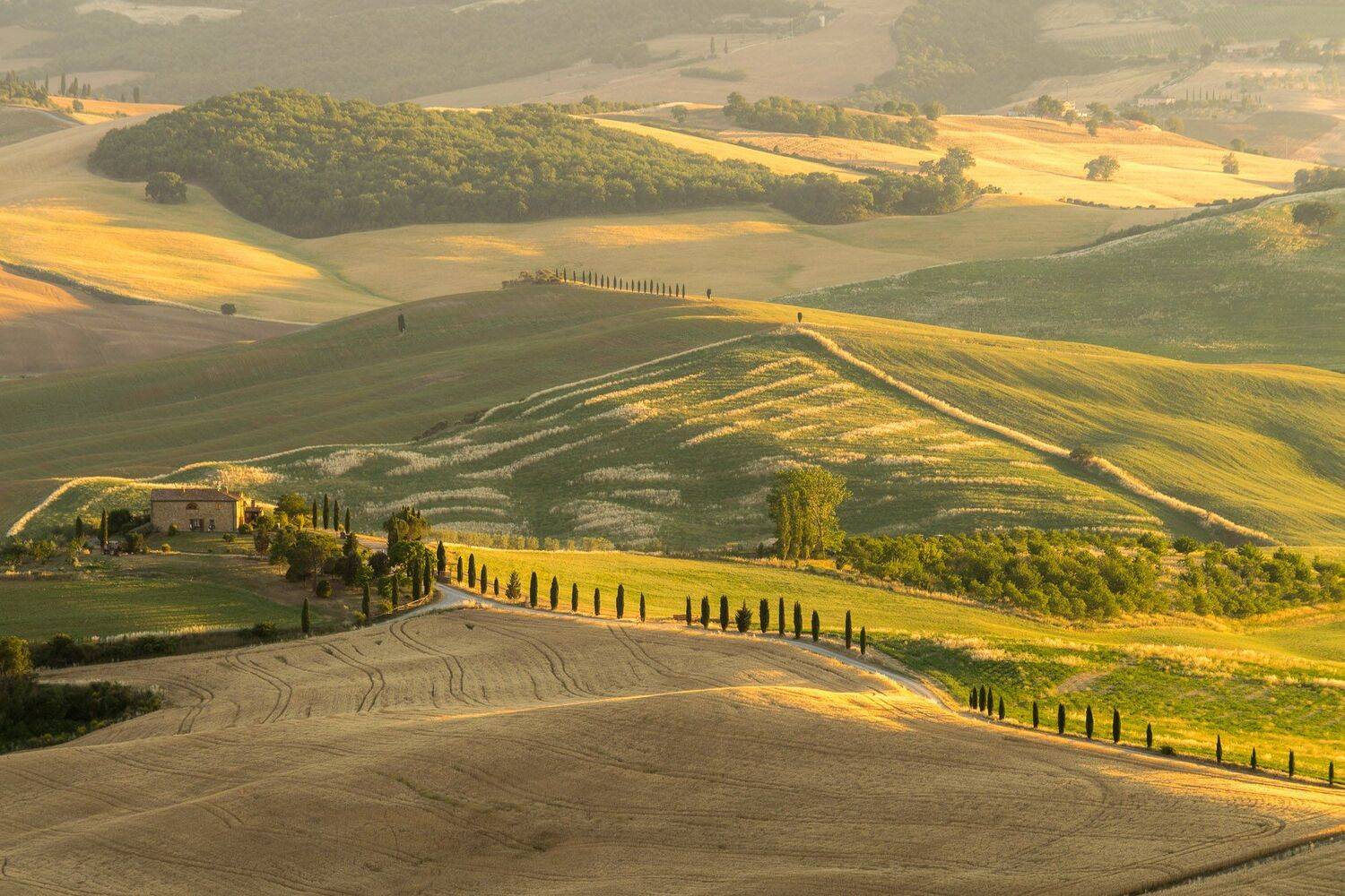 тоскана, Исаков Дмитрий