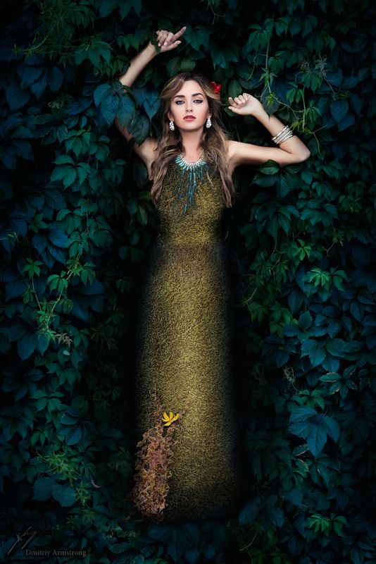 Мое портфолио фото превью