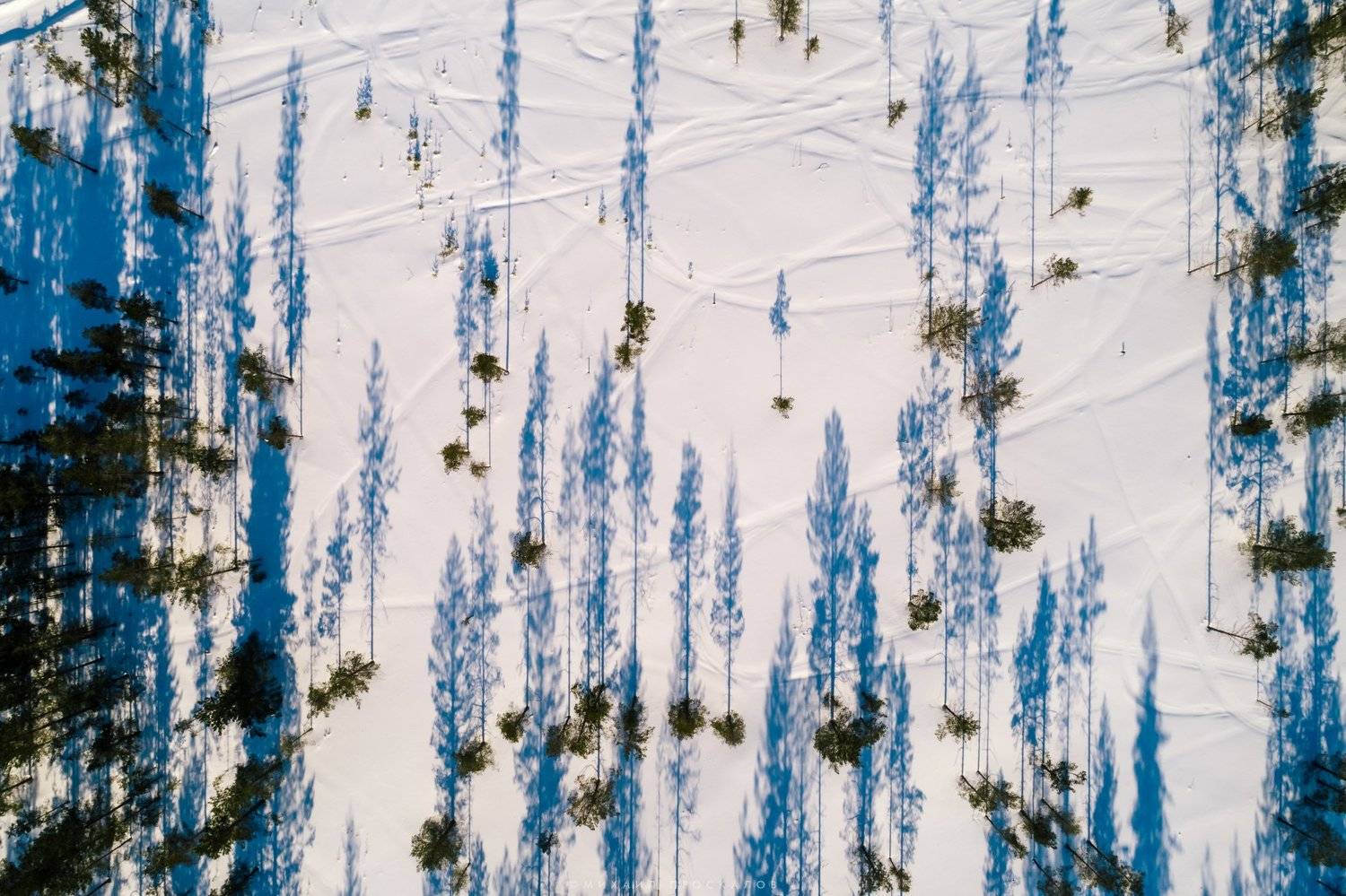 , Михаил Проскалов