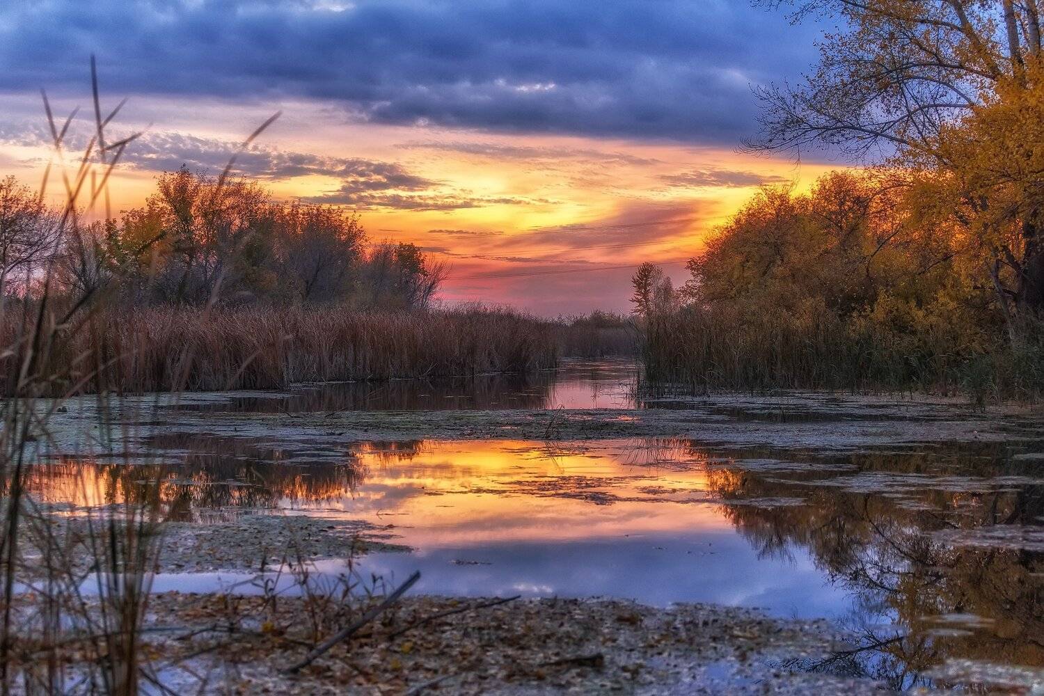 , Павел Сагайдак