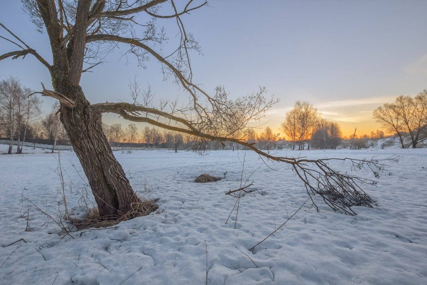 , Николай Андреев