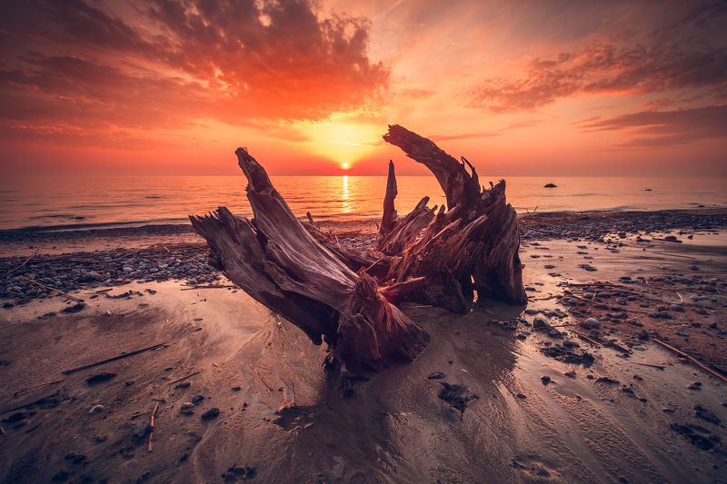 To fly into sunset фото превью