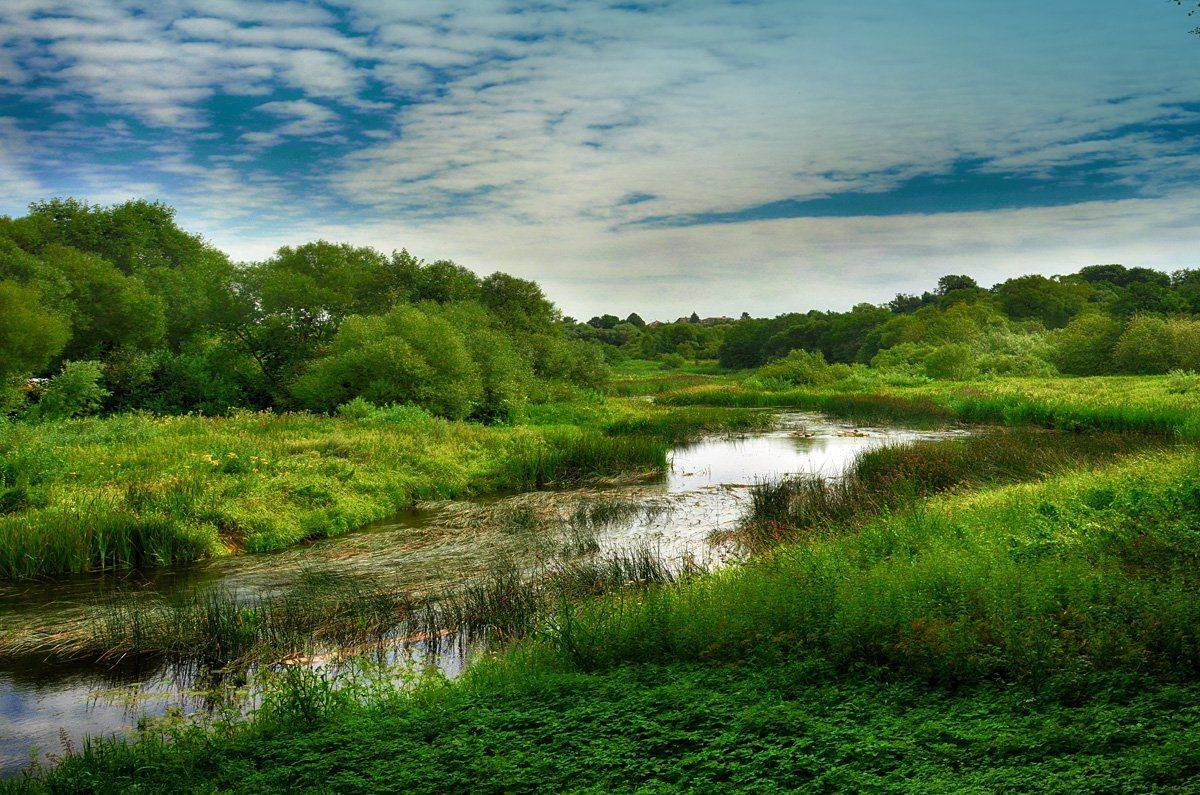 река, природа, лето, пейзаж, Rimantas Petrikas