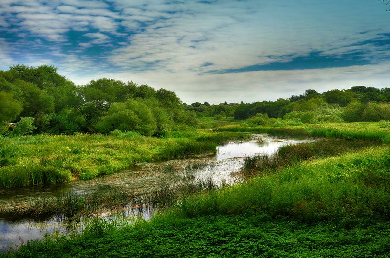 река, природа, лето, пейзаж Устье реки фото превью