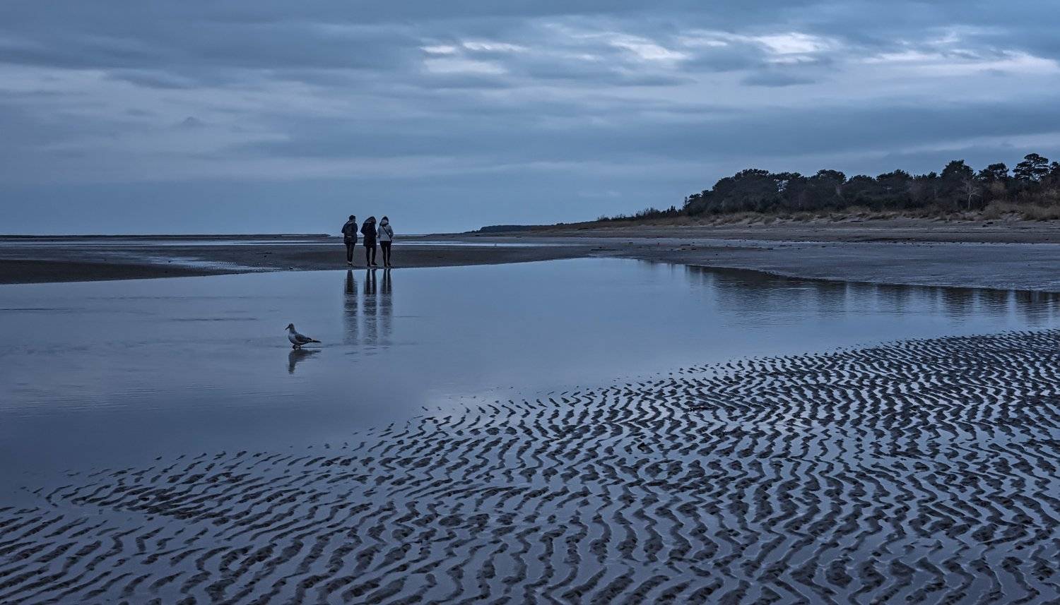 белое море берег сумерки вечер вода небо, Ра Вера