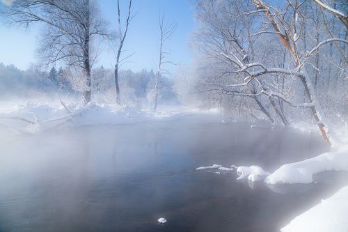 Морозное утро