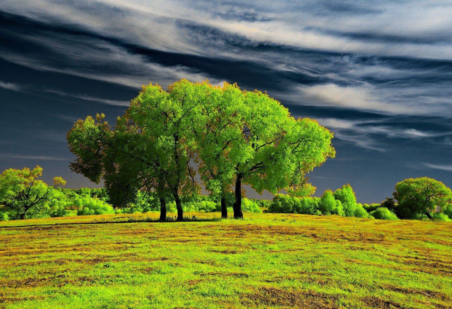 infrared,ик-фото,инфракрасное фото,инфракрасная фотография,пейзаж,природа,беларусь,лето, Sixten ( Сергей )