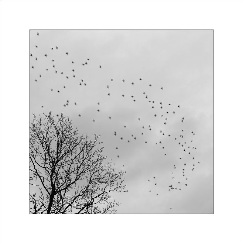 минимализм min. фото превью