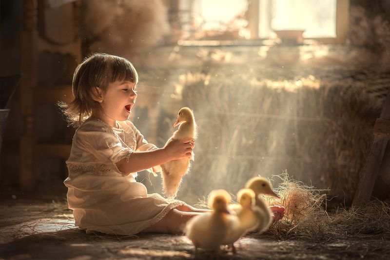 Лучики фото превью