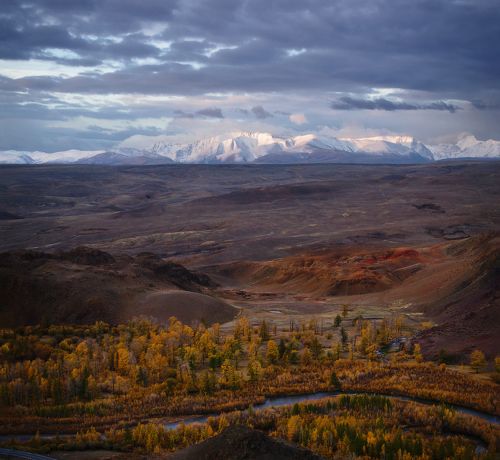 На Алтайских просторах