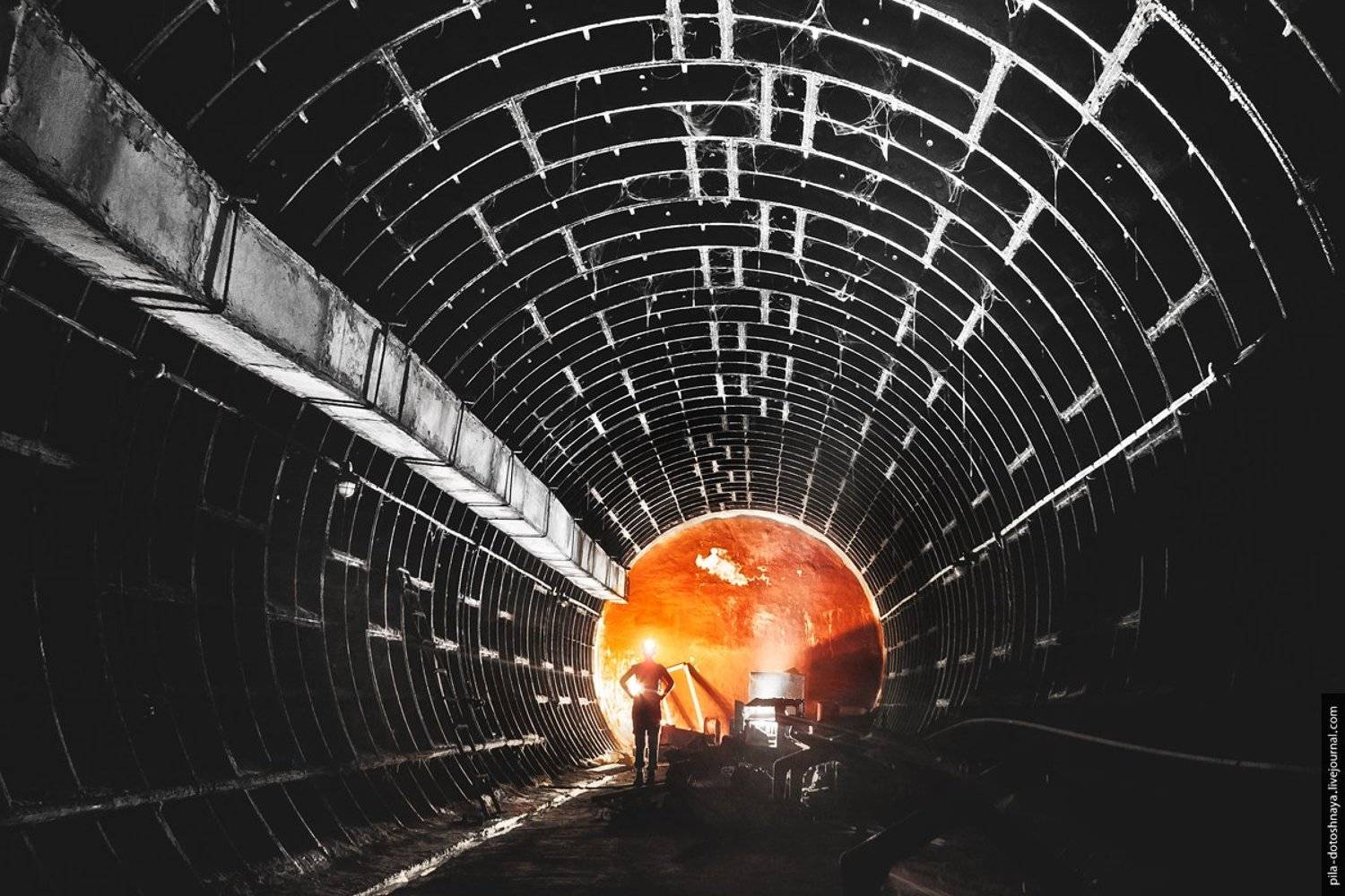 , Анна Аринова