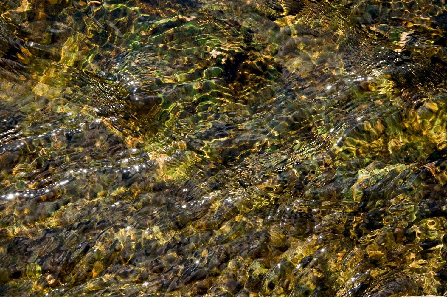 Photo, photo studio, photo travel, photo nature, woomen, Juris Zēbergs