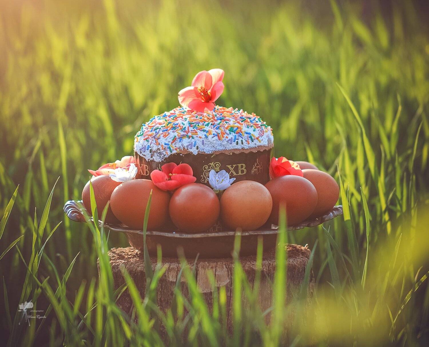 , Инна Сухова