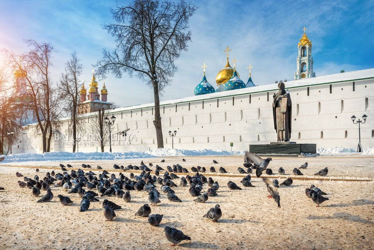 сергиев посад, голуби, лавра, зима, Юлия Батурина