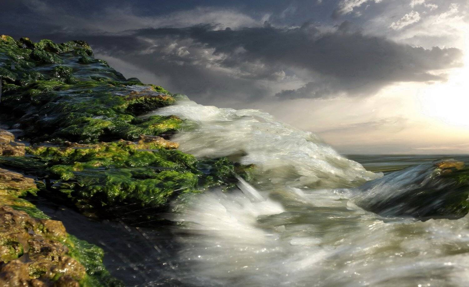 одесса, Сергей Кошелев