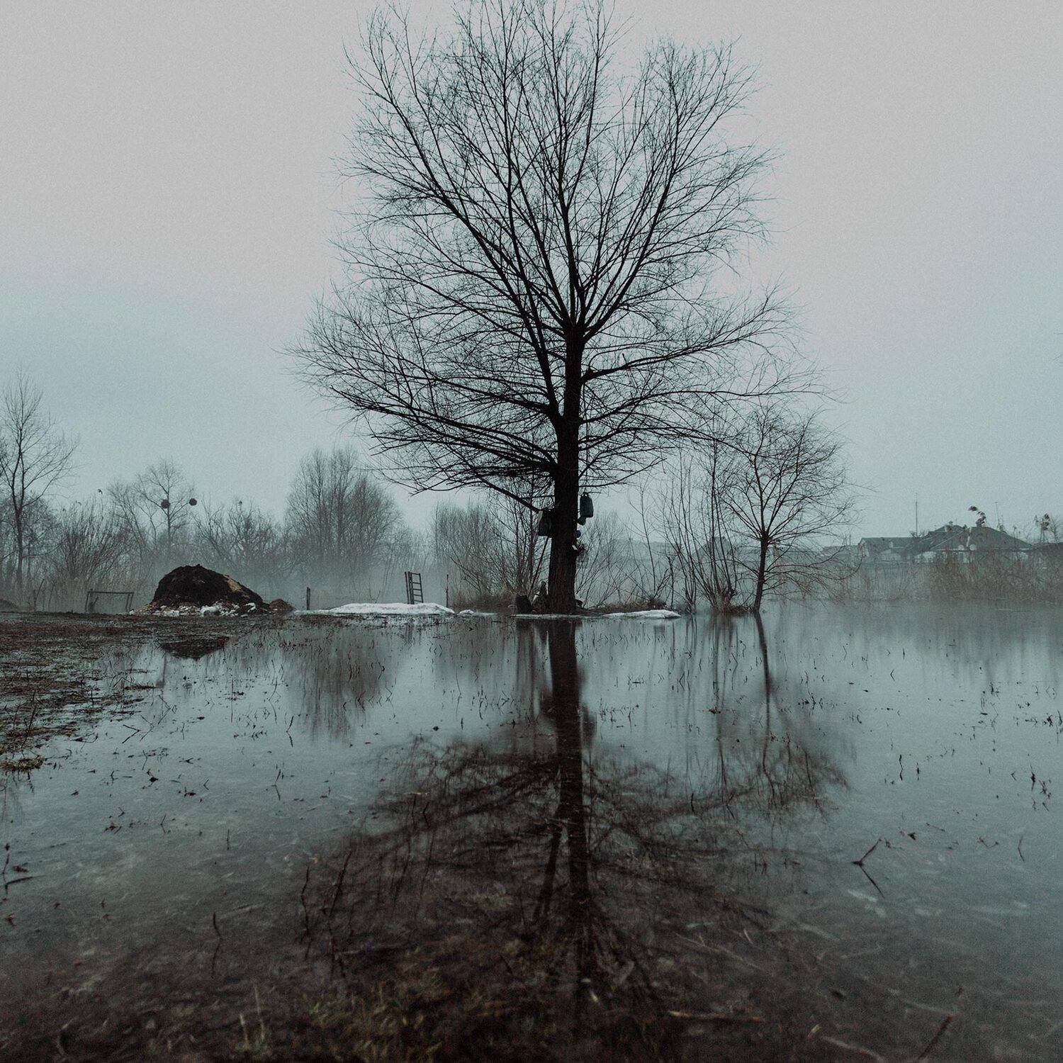 , Михалакий Дмитрий