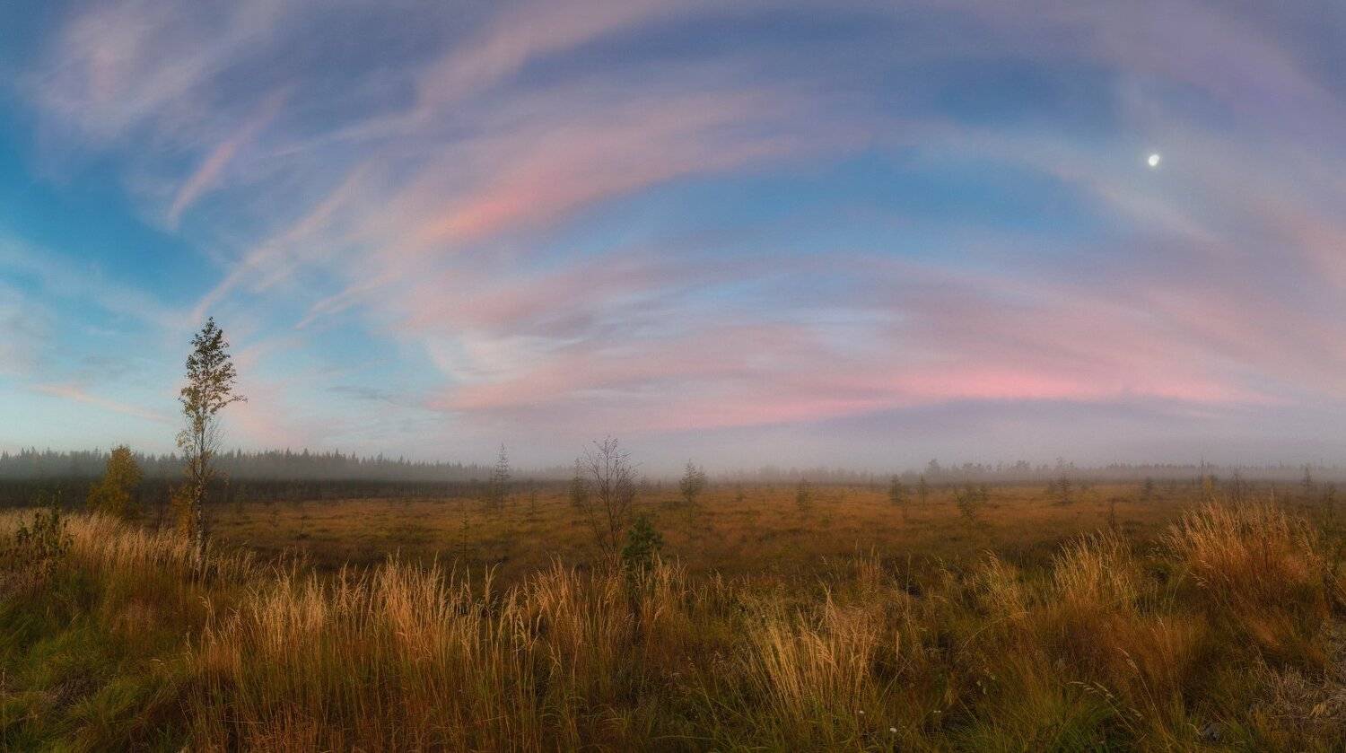 карелия, лоухи, приполярье, Сергей Кочергин