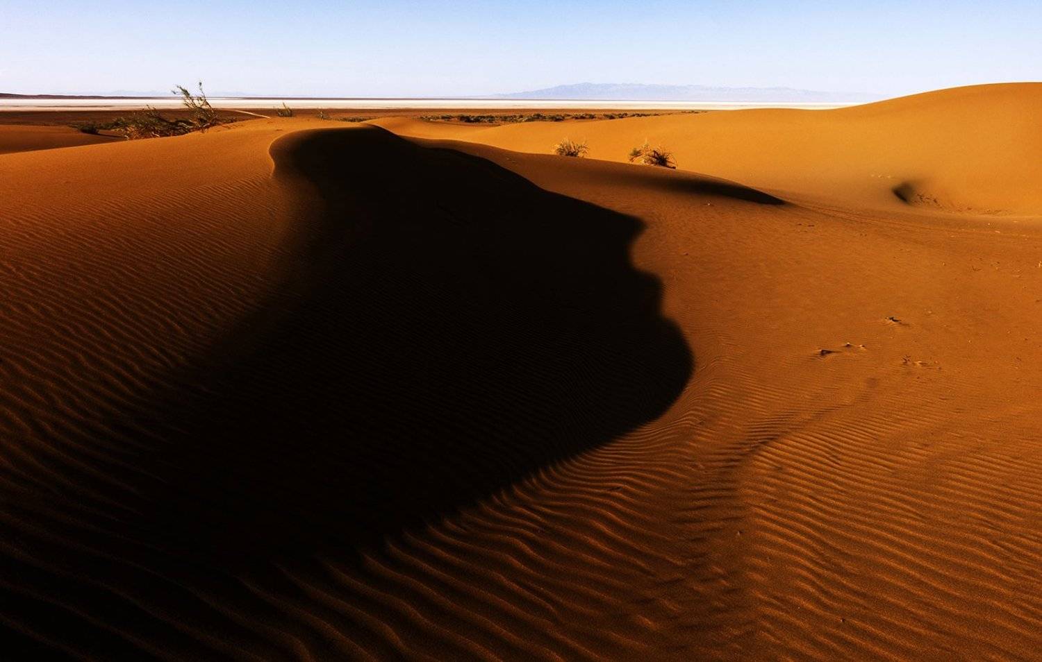 desert, Shahriar Dabiri