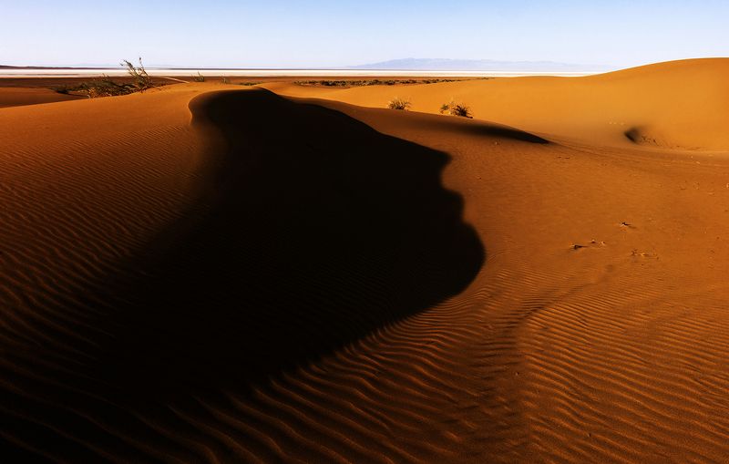 desert Face фото превью