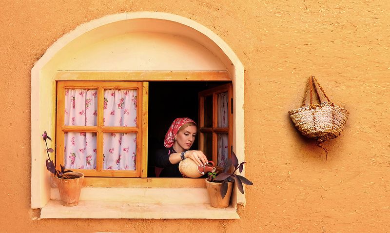 Window and the pag фото превью