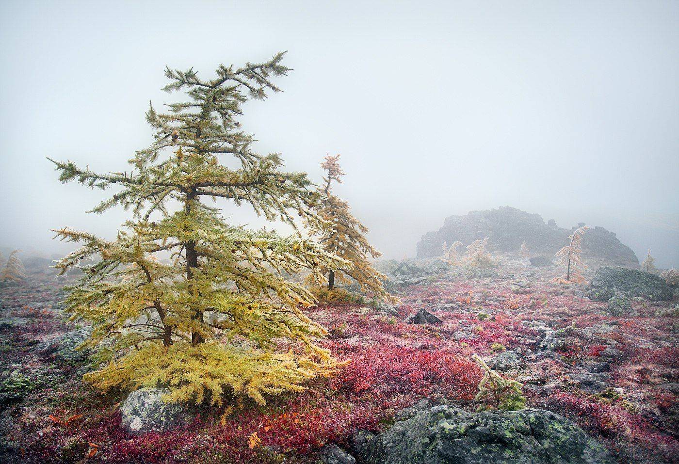 , Сергей Макурин