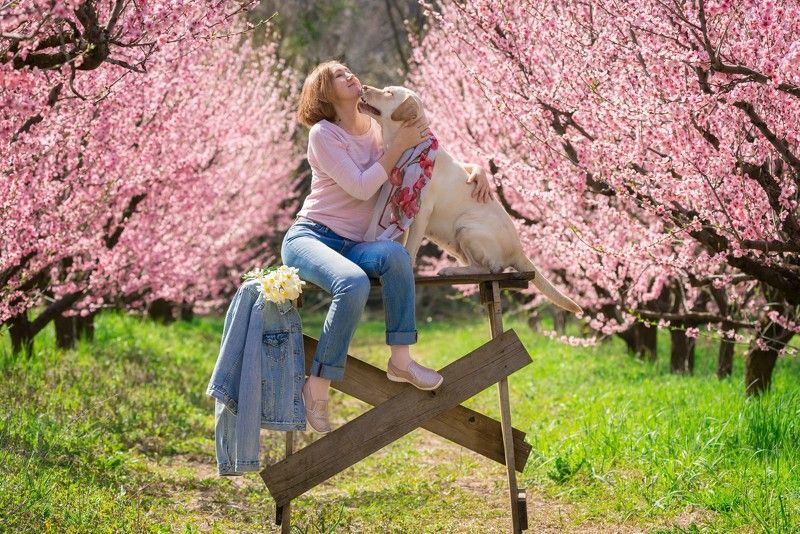 Персиковый сад фото превью