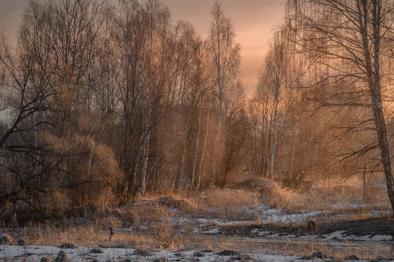пейзаж, весна, речка, лопасня, разлив, утро, рассвет, деревья, Андрей Чиж