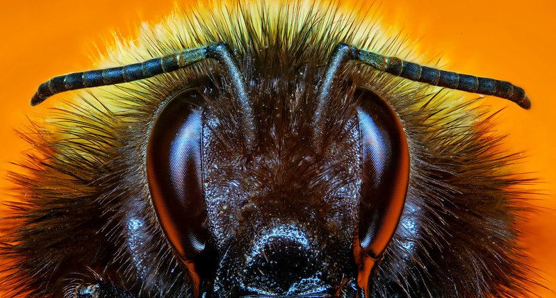 Глаза в глаза фото превью