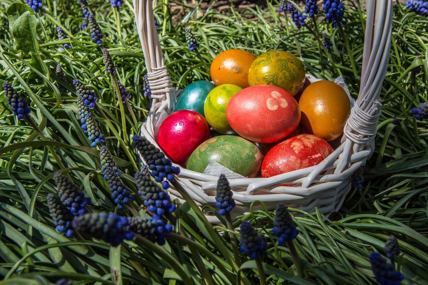 , Бистра Стоименова