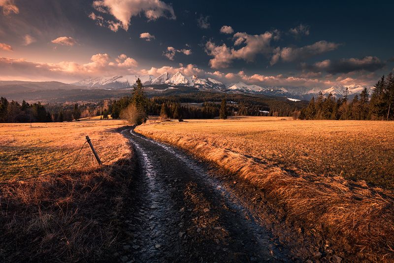 The Road