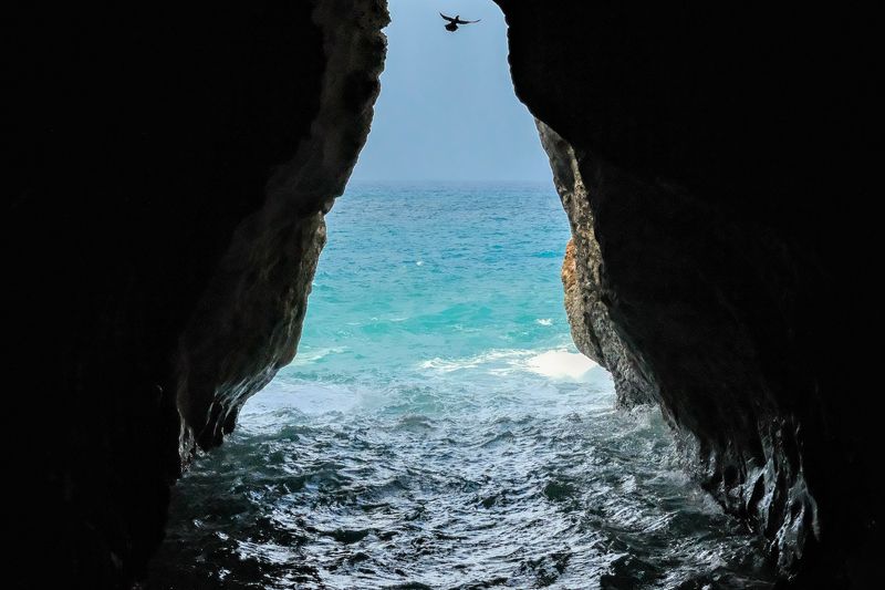 Flight фото превью