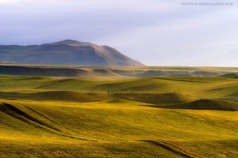 ВЕСЕННЯЯ КАРАЧАЕВО-ЧЕРКЕСИЯ фото превью