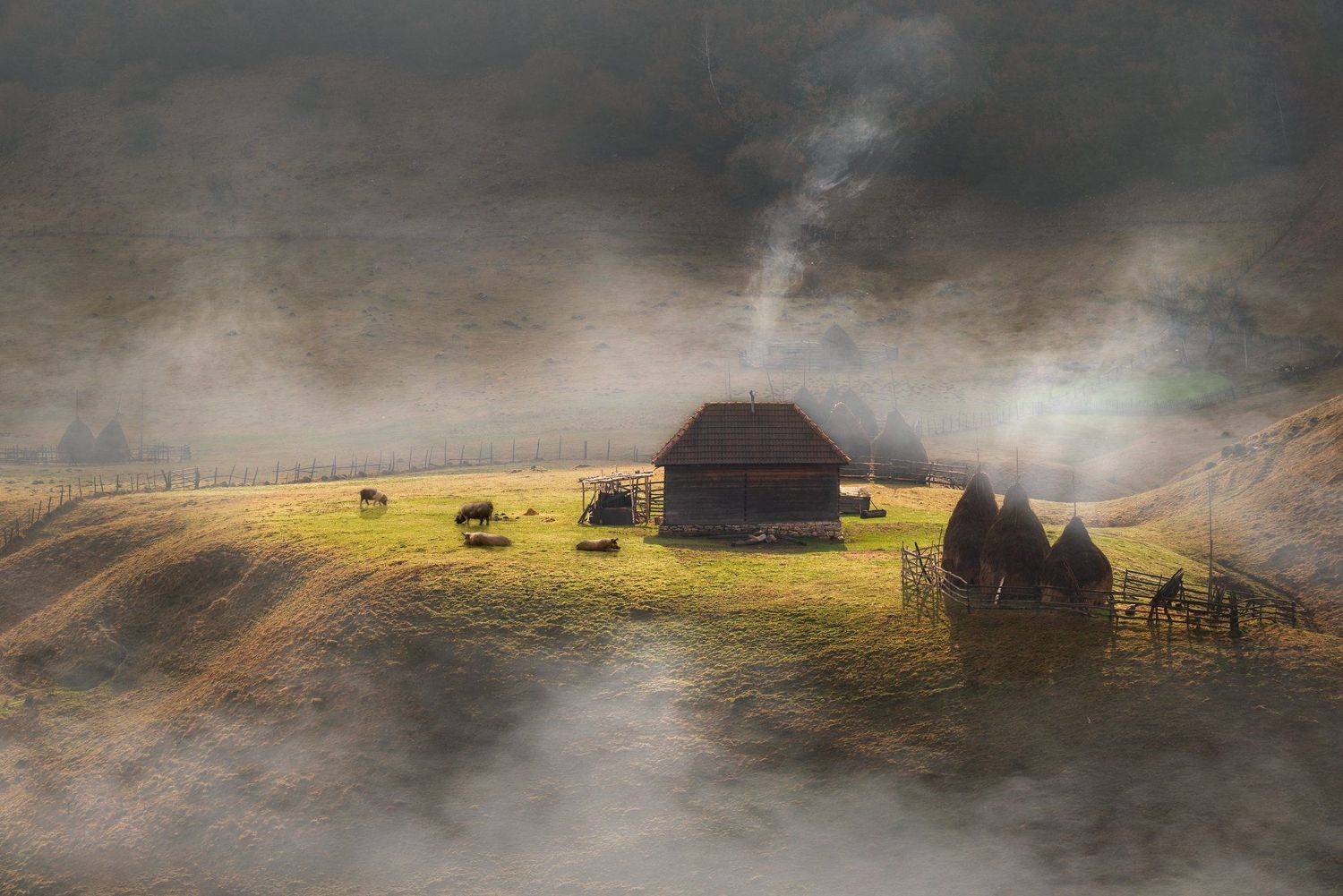 , Тодор Танев