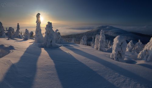 Продолжаем зимовать!