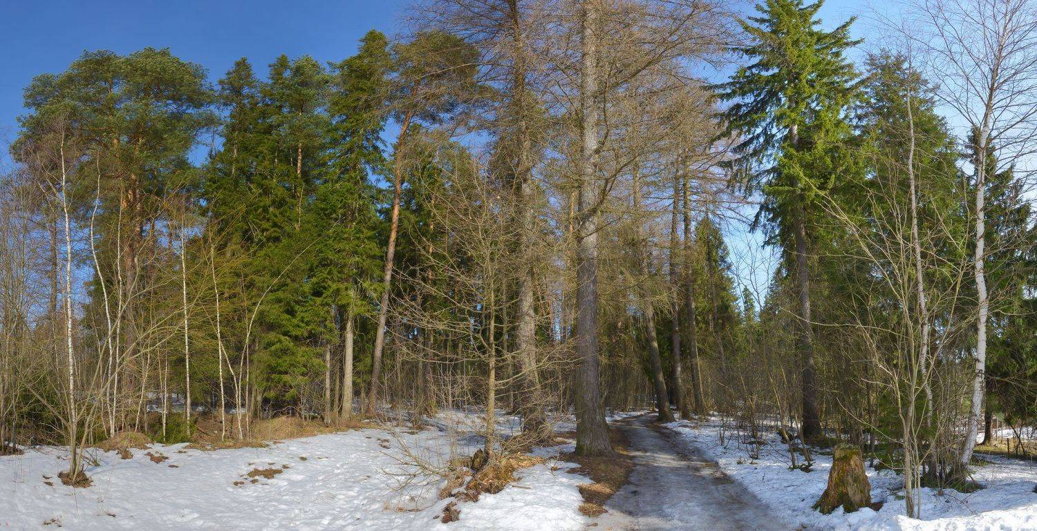 весна, Сергей Седов