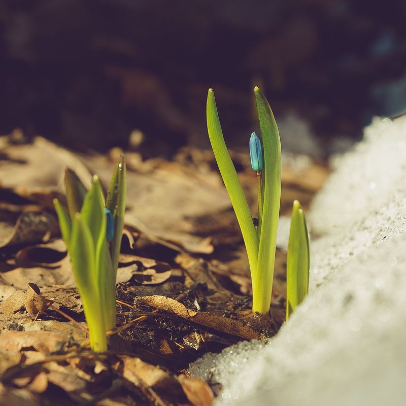 early stories фото превью