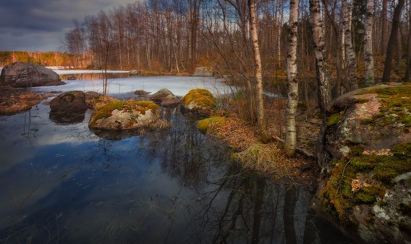 питер, вуокса, весна, пейзаж, васильево Весна на Вуоксе... фото превью