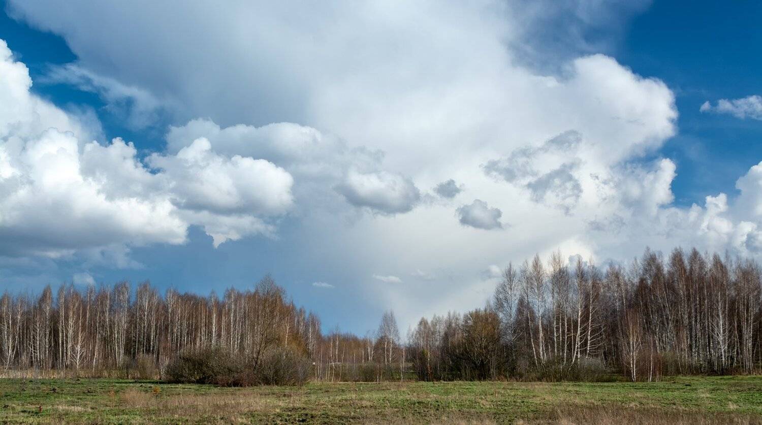 , Юрий Юрьев