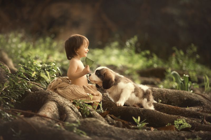 фото превью